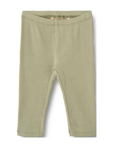 Leggings Jules Bottoms Leggings Green Wheat