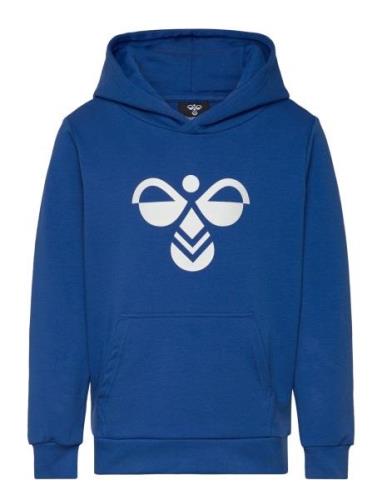 Hummel Hmlcuatro Hoodie Blå