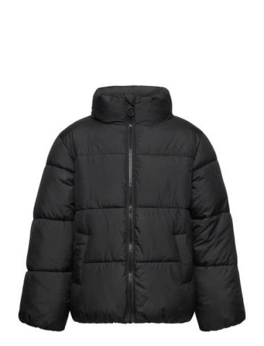 Puffer Jacket Fodrad Jacka Black Tom Tailor