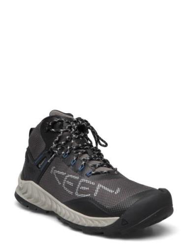 Ke Nxis Evo Mid Wp M-Magnet-Bright Cobalt Höga Sneakers Black KEEN