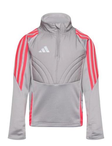 Tiro24 Wintopy Sport Sweat-shirts & Hoodies Sweat-shirts Grey Adidas P...