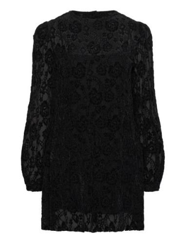 Dablon Lace Black Mini Dress Kort Klänning Black ALOHAS